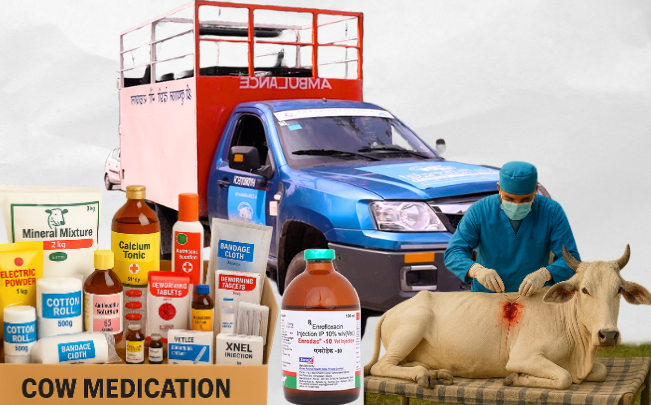 Monthly Medical Seva